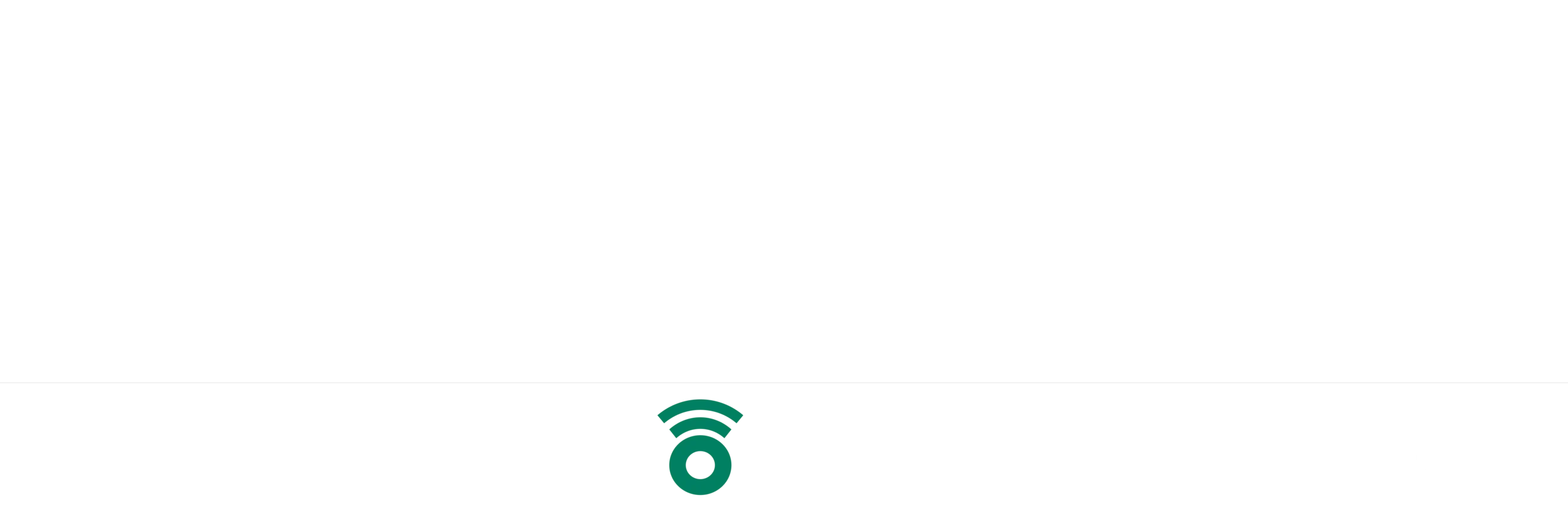 Footer Logo